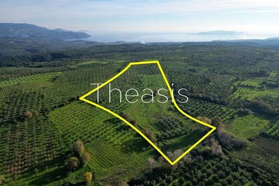 /international/gr/evangelismos-peloponnese-western-greece-and-ionian-310106084303/