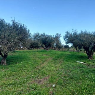 /international/gr/lixoyri-peloponnese-western-greece-and-ionian-310101374416/?lang=fr