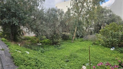 /international/gr/anissaras-crete-310106235394/
