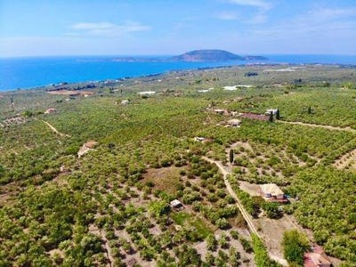 /international/gr/gargalianoi-peloponnese-western-greece-and-ionian-310106576204/