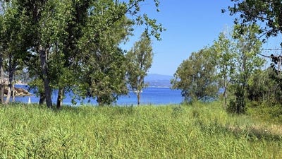 /international/gr/vourvourou-macedonia-thrace-310105763249/