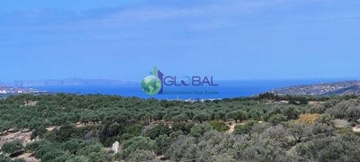 /international/gr/sitia-crete-310104989122/