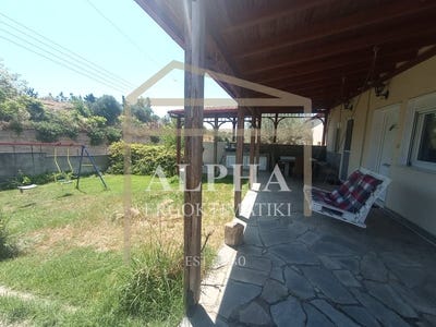 /international/gr/nea-michaniona-macedonia-thrace-310108996874/?lang=fr