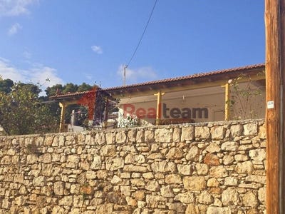 /international/gr/patitiri-thessaly-and-central-greece-310100876994/