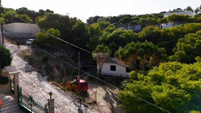 /international/gr/agios-dimitrios-attica-310108837315/