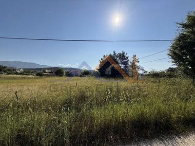 /international/gr/ioannina-epirus-western-macedonia-310099917294/