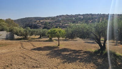 /international/gr/gouves-crete-310119636565/