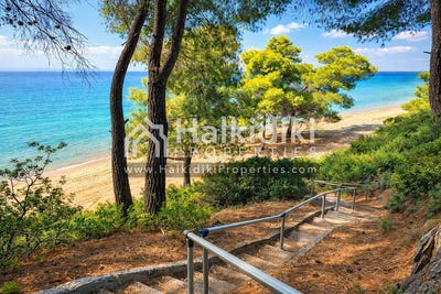/international/gr/metamorfosi-attica-310108871115/