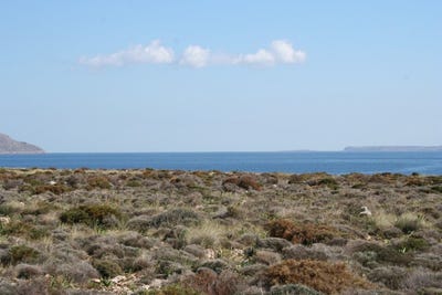 /international/gr/kalo-nero-crete-120084566156/