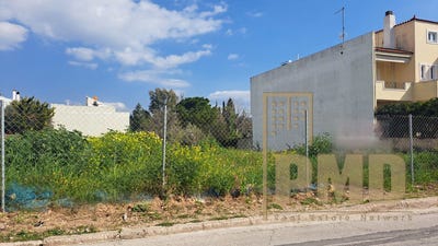 /international/gr/vari-attica-310107581787/