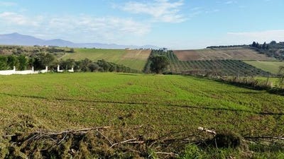 /international/gr/thermaikos-macedonia-thrace-310103787751/