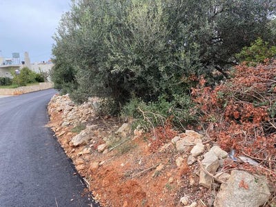 /international/gr/kounoupidiana-crete-310107499655/