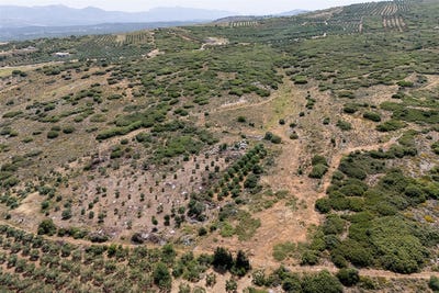 /international/gr/arkalochori-crete-310100877023/