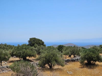 /international/gr/epano-pines-crete-310100993541/?lang=zh-tw