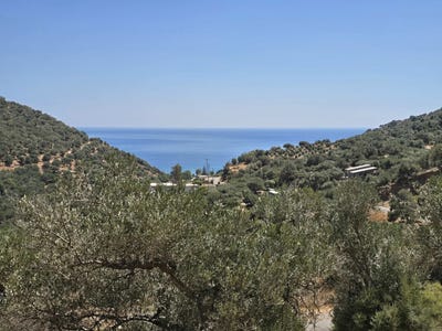 /international/gr/argoules-crete-310119751661/