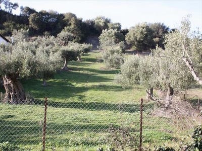 /international/gr/kassandra-macedonia-thrace-310103792401/