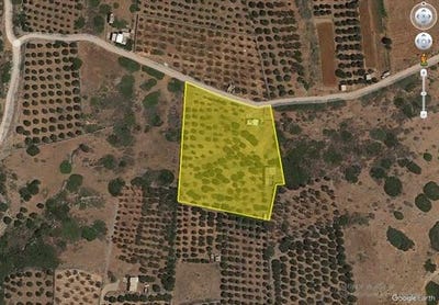 /international/gr/agios-nikolaos-thessaly-central-greece-120084664866/
