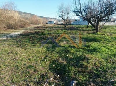 /international/gr/ioannina-epirus-western-macedonia-310104811636/