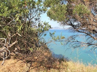 /international/gr/laganas-peloponnese-western-greece-and-ionian-310103791750/