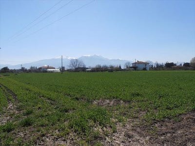 /international/gr/pieria-prefecture-makedonia-thrace-310103785376/