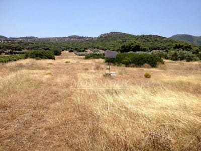 /international/gr/ano-thoriko-attica-120080683398/