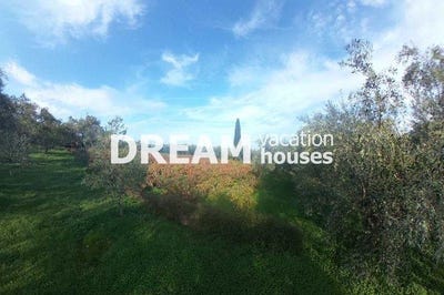 /international/gr/agios-dimitros-peloponnese-western-greece-and-ionian-310101035780/?lang=fr