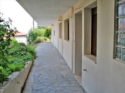 /international/gr/litochoro-macedonia-thrace-310105897666/