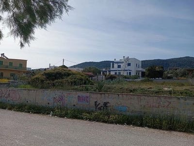 /international/gr/aegina-attica-310103371546/