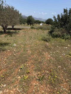 /international/gr/rousa-limni-crete-310099567650/