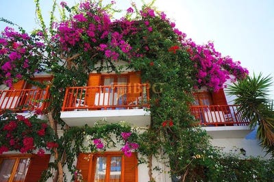 /international/gr/parikia-paros-south-aegean-310100604817/?lang=zh-tw