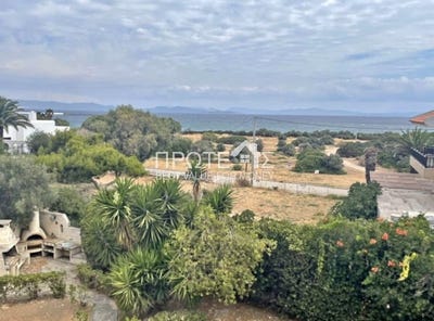 /international/gr/rafina-attica-310108316738/