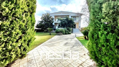 /international/gr/assos-lechaio-peloponnese-western-greece-and-ionian-310109146368/