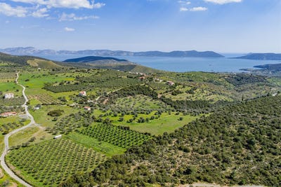 /international/gr/ermioni-peloponnese-western-greece-and-ionian-310107598826/