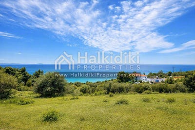 /international/gr/vatopedi-macedonia-thrace-310108871000/