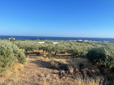 /international/gr/koutsouras-crete-120086708531/
