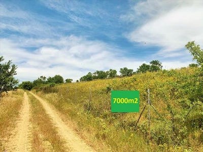 /international/gr/mikra-macedonia-thrace-310103784963/