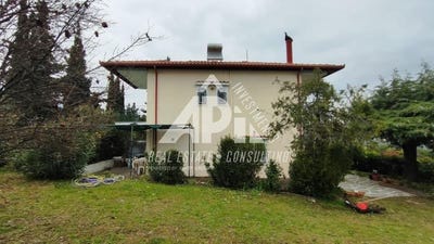/international/gr/skotina-macedonia-thrace-120095858098/