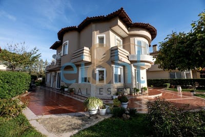 /international/gr/palaiokastro-thessaly-central-greece-310119982795/