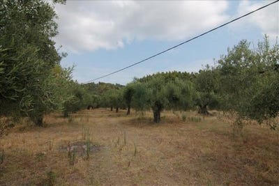 /international/gr/sithonia-macedonia-thrace-310105897290/