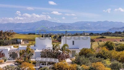 /international/gr/ampelas-aegean-310107025625/
