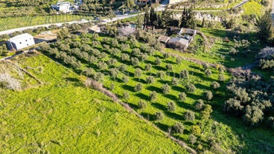 /international/gr/siva-crete-310107598767/