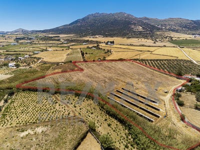 /international/gr/agios-andreas-peloponnese-western-greece-and-ionian-310102316332/