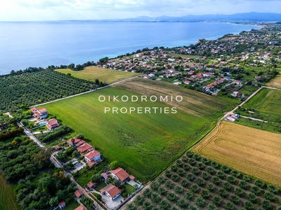 /international/gr/nea-moudania-macedonia-thrace-310100608314/?lang=zh-cn