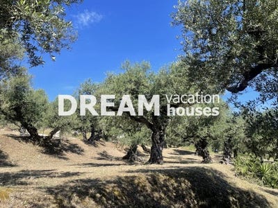 /international/gr/agios-dimitros-peloponnese-western-greece-and-ionian-310101036711/?lang=zh-cn