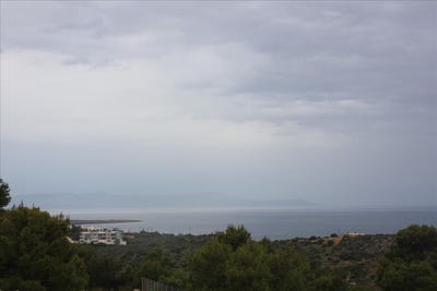 /international/gr/kampani-crete-310106447123/