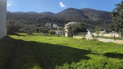 /international/gr/stalida-crete-310105790650/