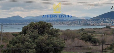 /international/gr/rafina-camp-attica-310106781201/