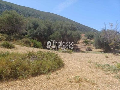 /international/gr/zola-peloponnese-western-greece-and-ionian-310098736620/