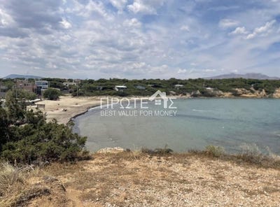 /international/gr/artemis-attica-310108317091/