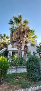 /international/gr/chaniotis-macedonia-thrace-310103413845/